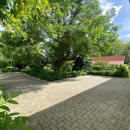 Ferienwohnung Racz Birtok Lajosmizse Exterior foto