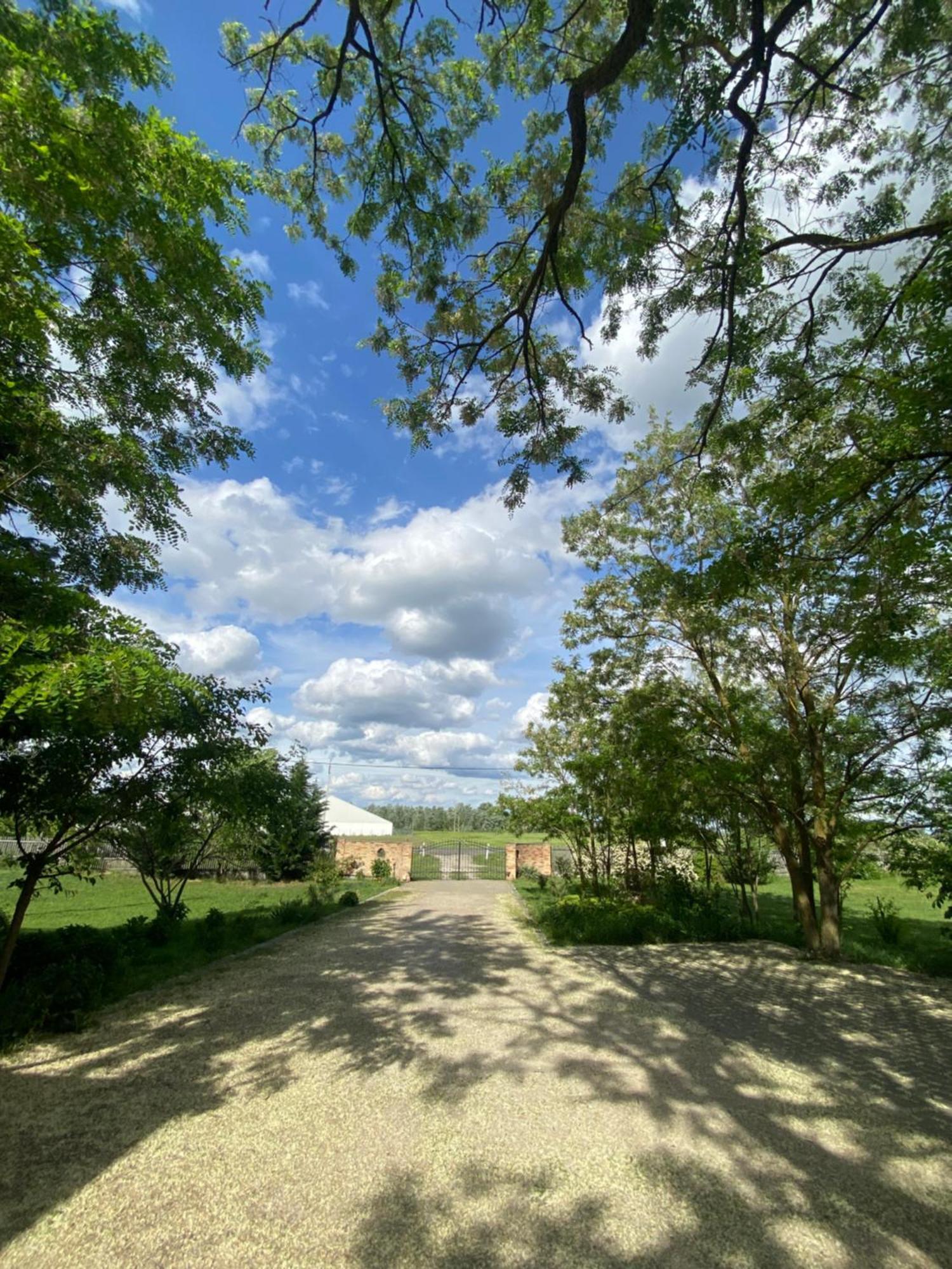 Ferienwohnung Racz Birtok Lajosmizse Exterior foto