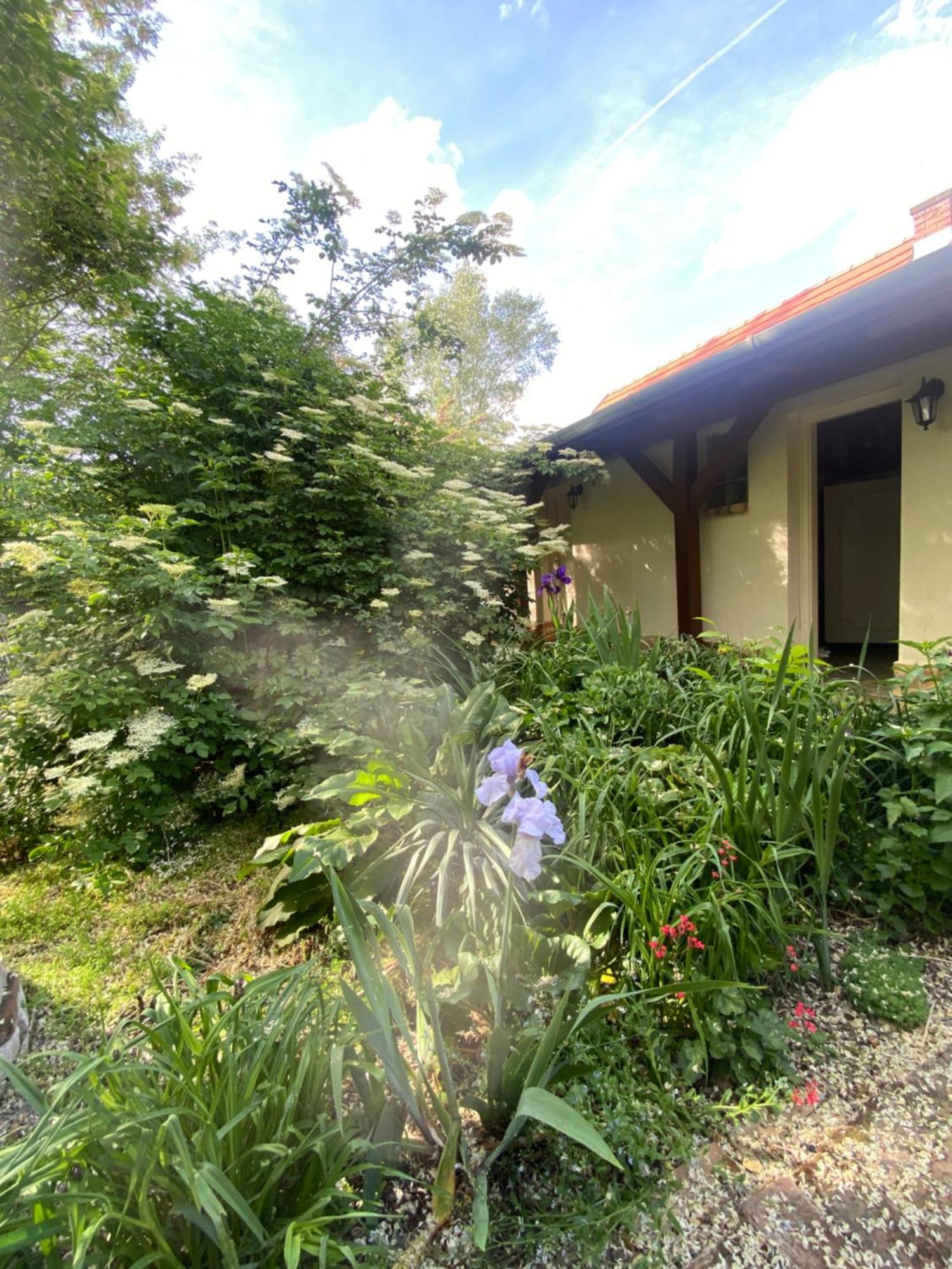 Ferienwohnung Racz Birtok Lajosmizse Exterior foto