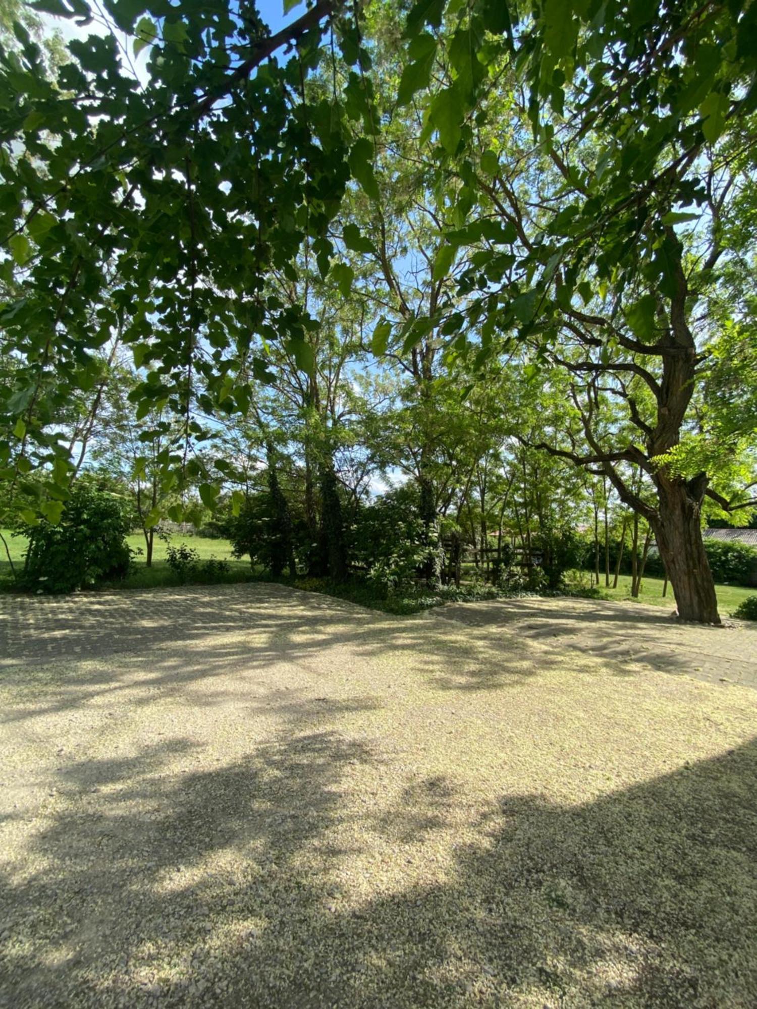 Ferienwohnung Racz Birtok Lajosmizse Exterior foto